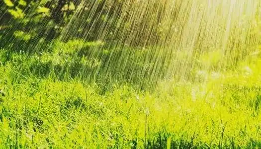 《雨中》作者:春羽【主播:知语】【桃源国际诗歌文化传媒】用声音传递温暖以诵读致敬人生♬（图6）