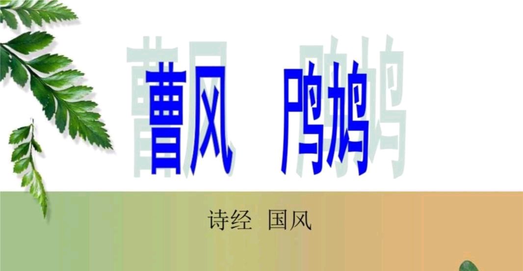 诗经版：《鸤鸠》中华诗经阁诗经部部长董杰｜中华诗经阁诗经部编委韩爱华｜中华诗经阁宣传部宣委赵富娥｜联袂演绎（图2）