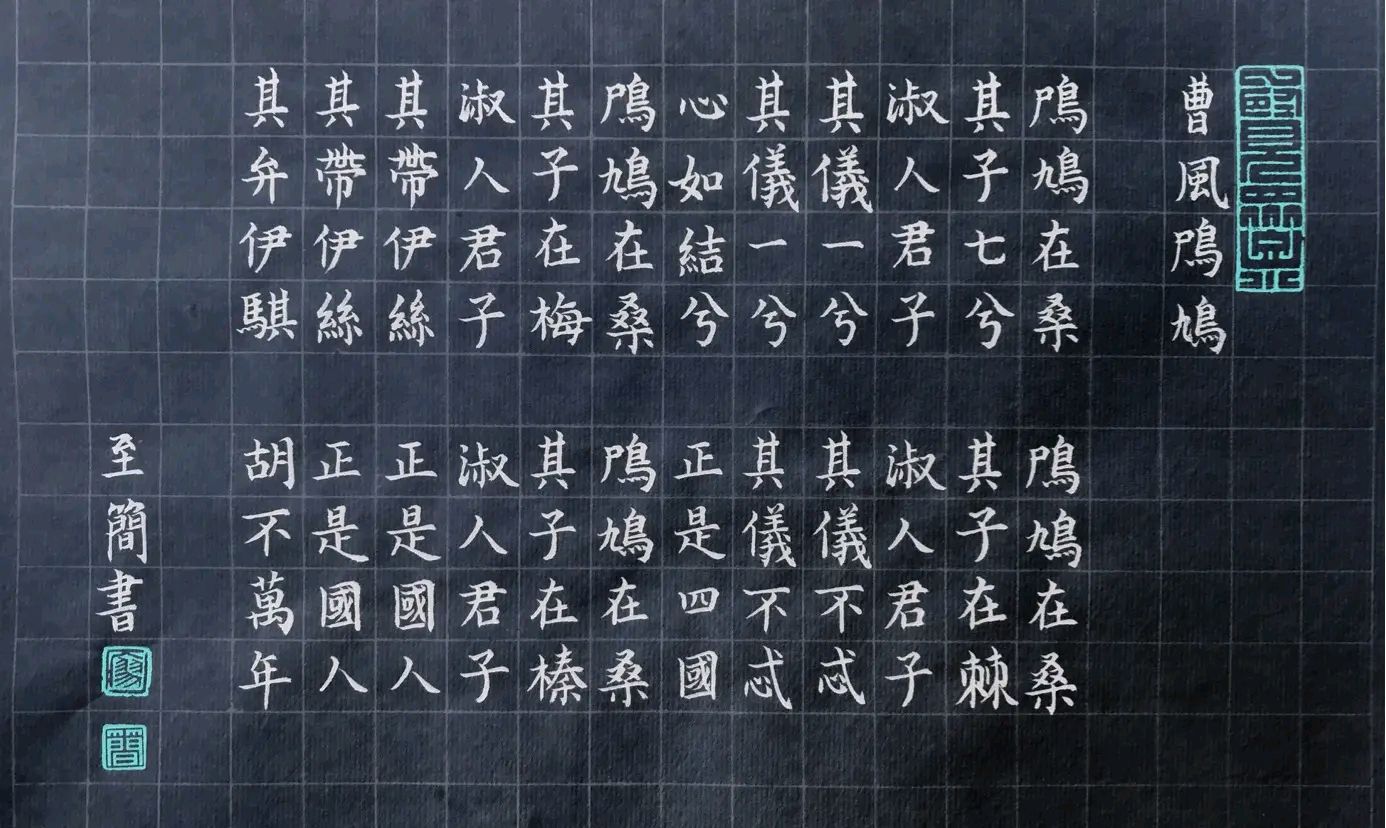 诗经版：《鸤鸠》中华诗经阁诗经部部长董杰｜中华诗经阁诗经部编委韩爱华｜中华诗经阁宣传部宣委赵富娥｜联袂演绎（图9）