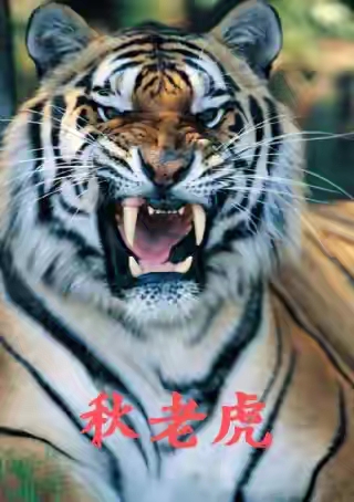 五律·秋老虎（文/邹晓华）……莲叶之珠文学社