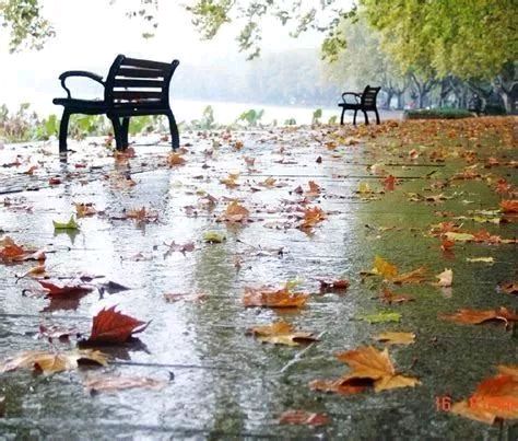 《秋夜雨·冷凄凄》作者/庆福 主播/铁微/紫金茉莉 主编/胡琴（图4）