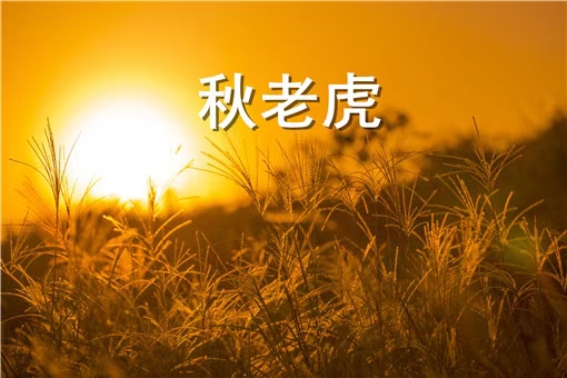 秋老虎（文/许碧霞）……莲叶之珠文学社
