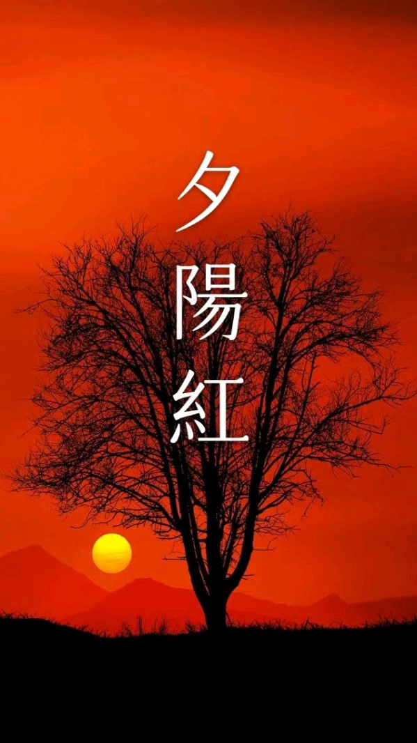 韩庚的《夕阳红》