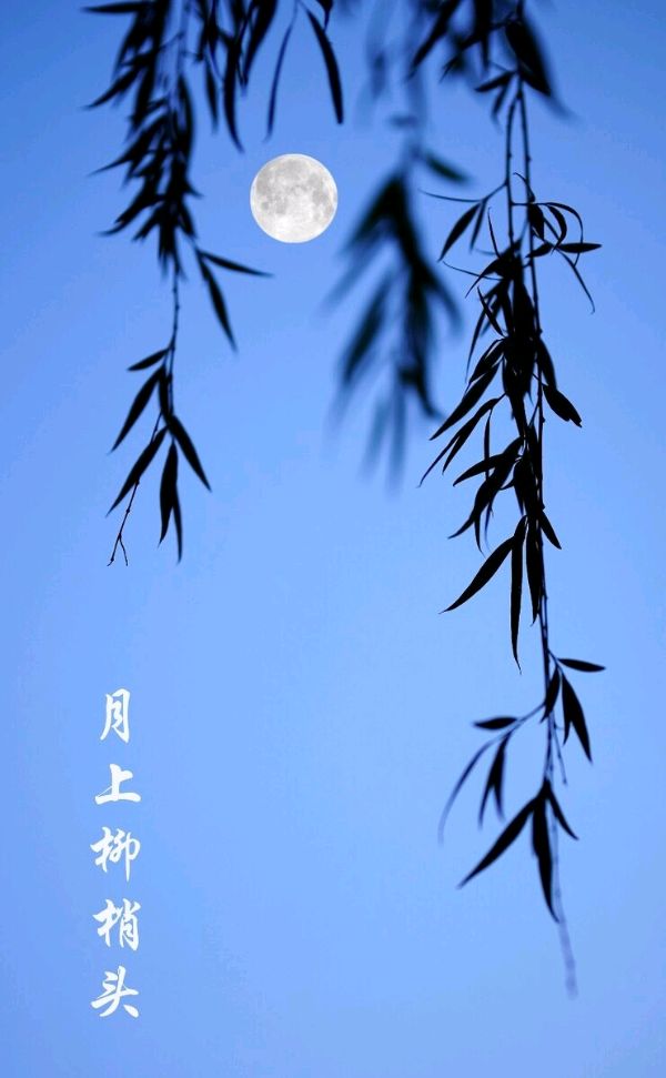 军嫂寂寞满屋愁～诗||李永康（图8）