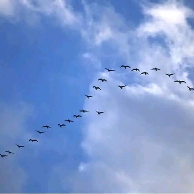 【国风湖南】第50期 道上归人笼月色（图8）