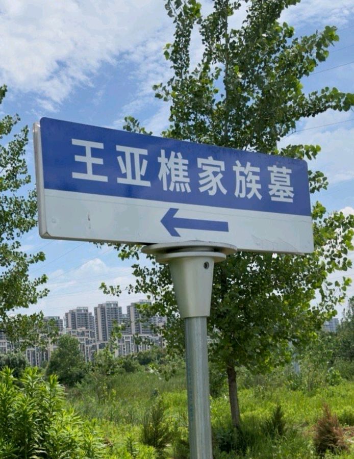 观《民国第一杀手王亚樵》墓（图2）