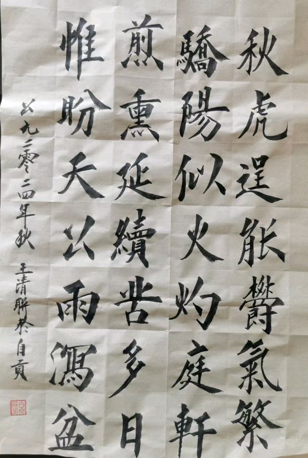 茅盾文学杯全国首届文学书画大赛：王清联入围作品展（图6）