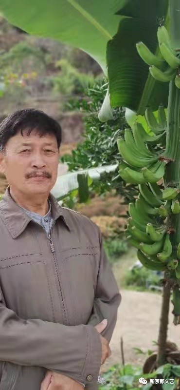 作者：吴锡峰《木槿花》11552期~新京都文艺