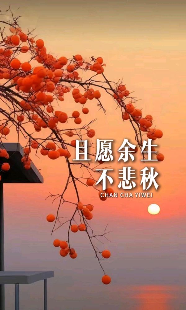 秋叶的自语——为图片配诗～诗||李耀文（图15）