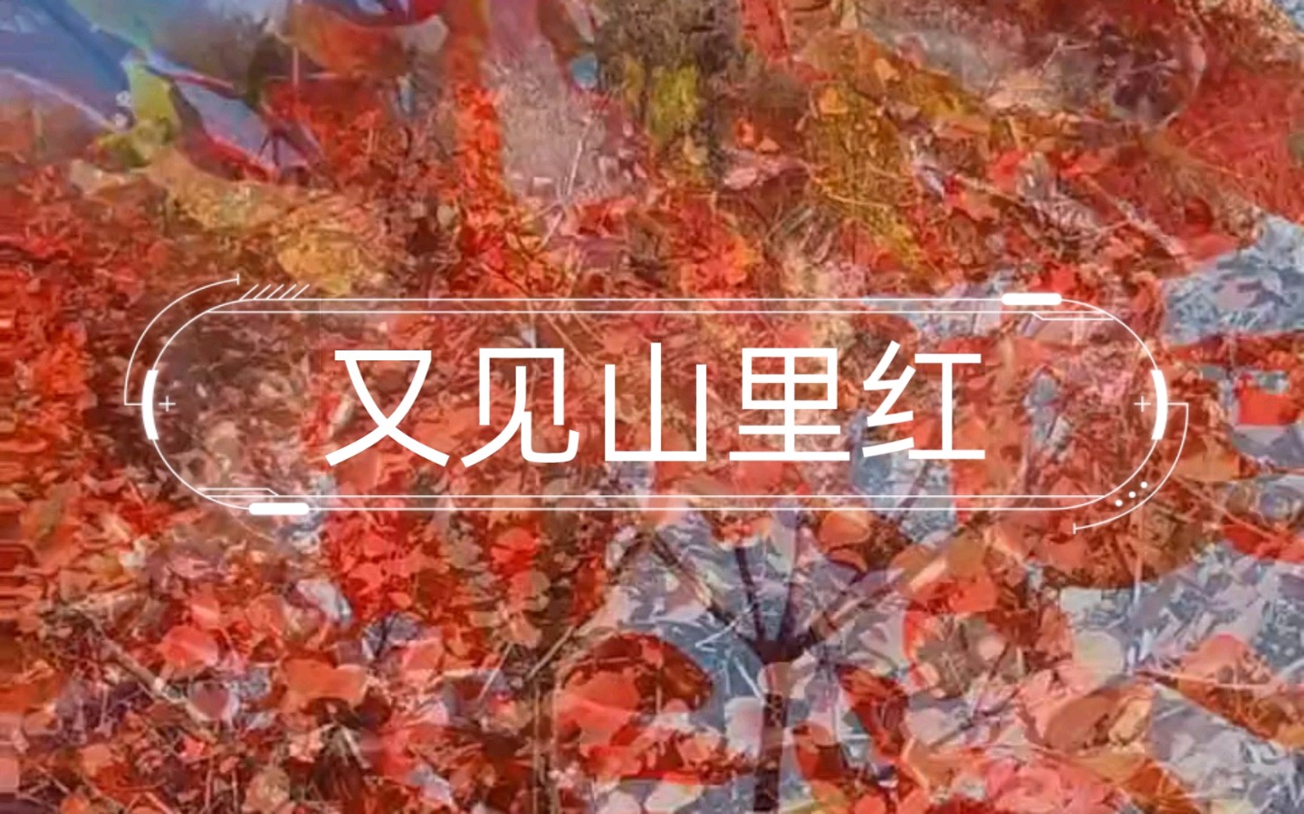 秋叶的自语——为图片配诗～诗||李耀文（图13）