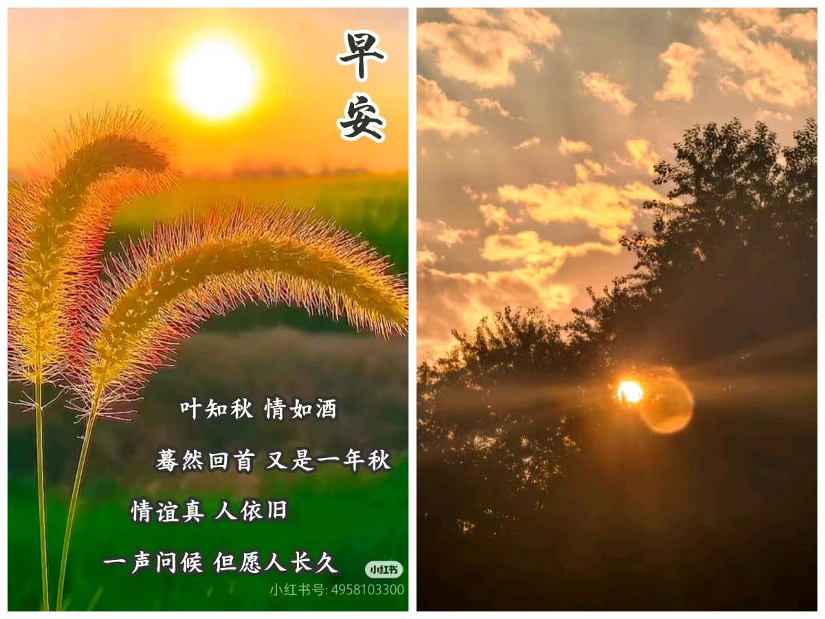 【经典推荐】鲁坡//幸福毋须问往由[踏平坎坷驰正道]秋韵系列作品展（图4）