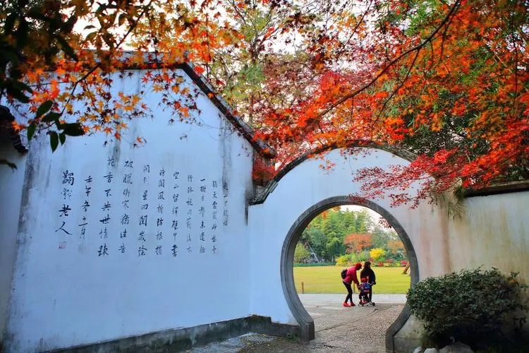 【新山东文学社】《漫步在秋风里》作者/张秀祥 主播/红叶(图3)