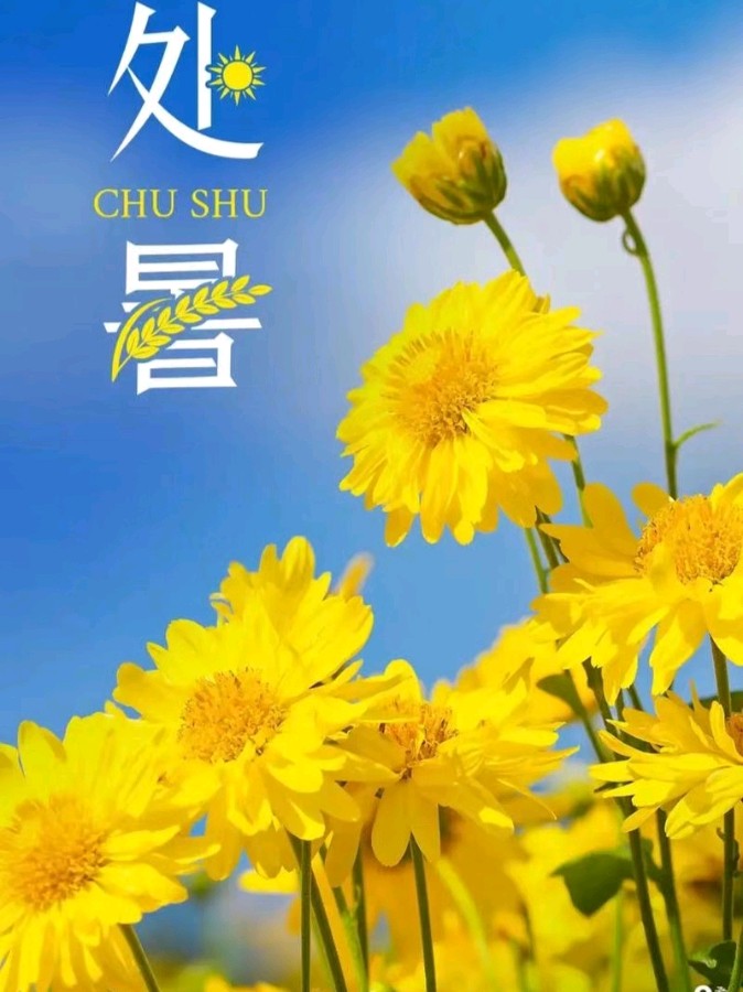 《九江文学社：北京头条》洪新爱社长近期作品欣赏（图6）