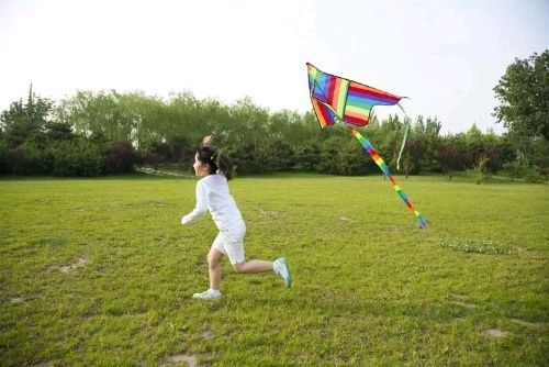 在醉人秋色里放飞