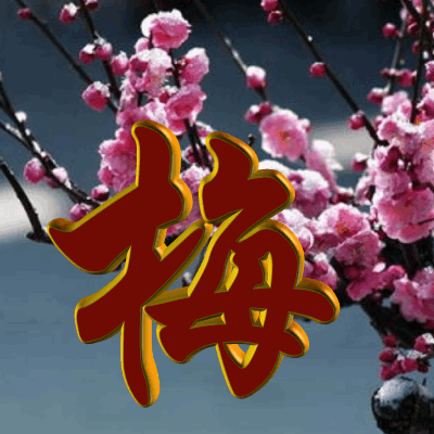 《李华七律春夏秋冬梅兰竹菊琴棋书画十二首》作者:龙游天下 [中国现代诗歌文化传媒]（图10）