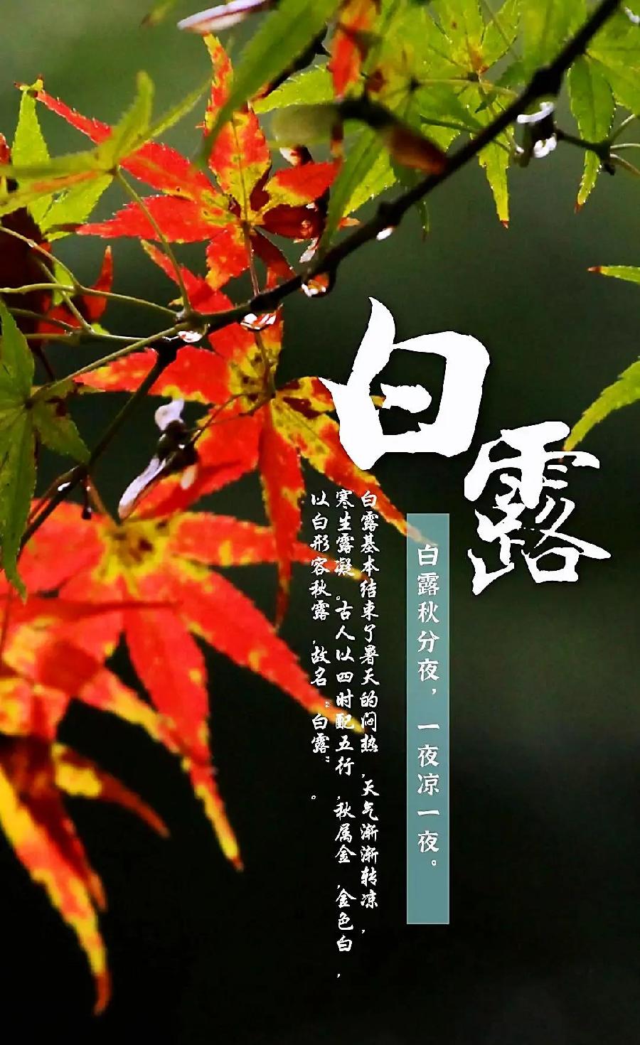 【荣耀中国】七律•白露杜继申（图3）