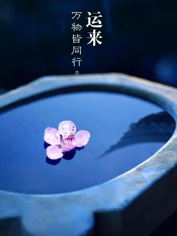 《许峰诗歌研究院》《诗词歌赋》欣赏【总第203期】（图15）