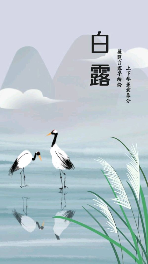 白露节气～诗||李耀文（图8）