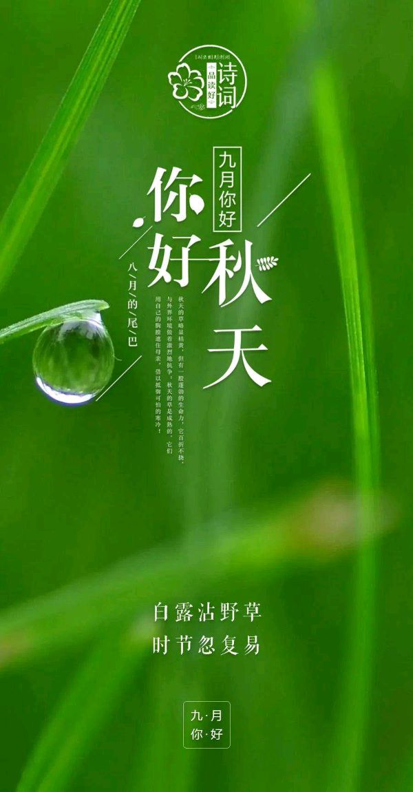 白露节气～诗||李耀文（图14）
