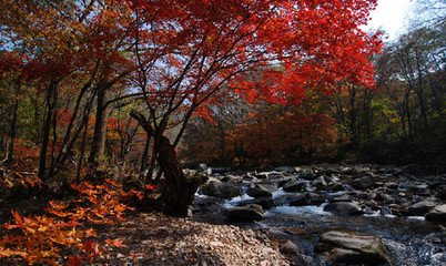 七律·老顶山上秋思（文/张华兴）……莲叶之珠文学社（图4）