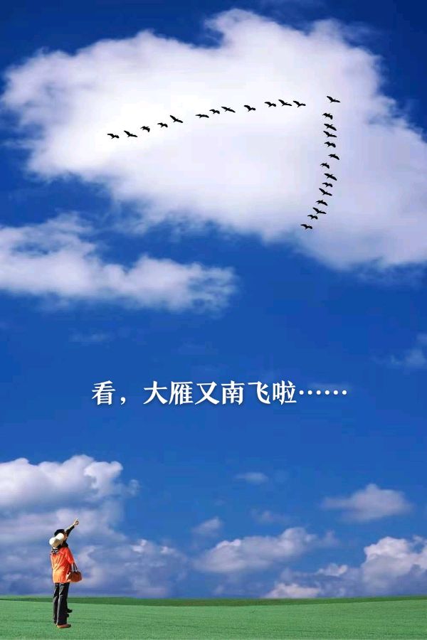 白露节气～诗||李耀文（图9）