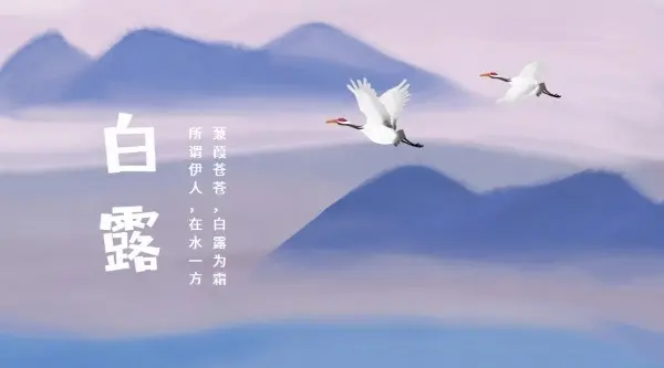 七律·甲辰白露吟（文/邹晓华）……莲叶之珠文学社
