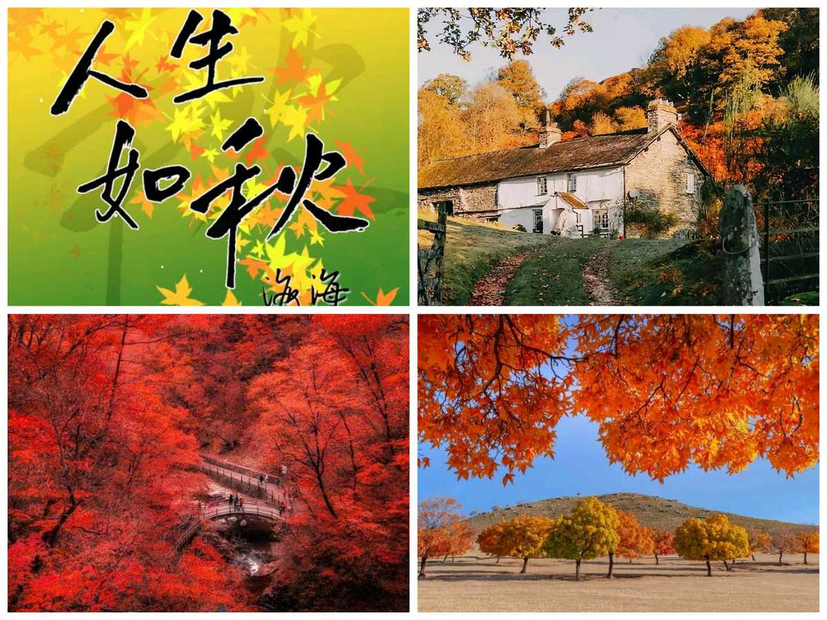 【重磅推出】鲁坡//秋声话人生[苦乐度年华]（图4）