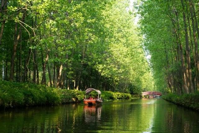 打卡红土地 诗词赞八景 作者/卓顺贵（图32）