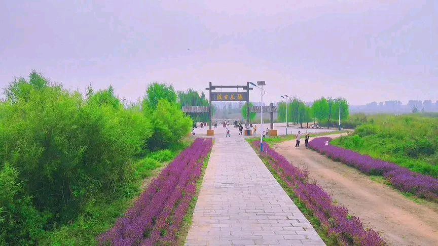 秋游张荒古渡～诗||吴永良（图10）