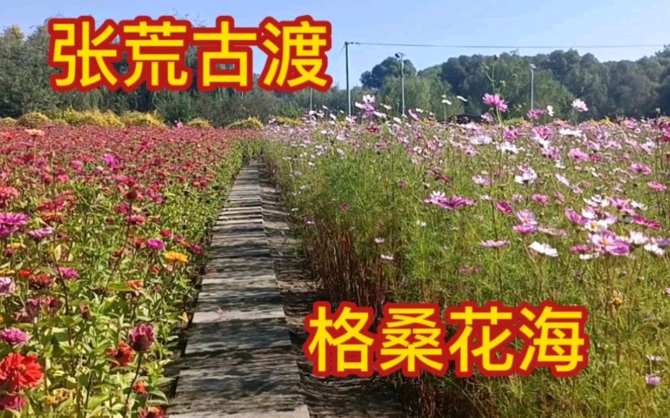 秋游张荒古渡～诗||吴永良（图9）