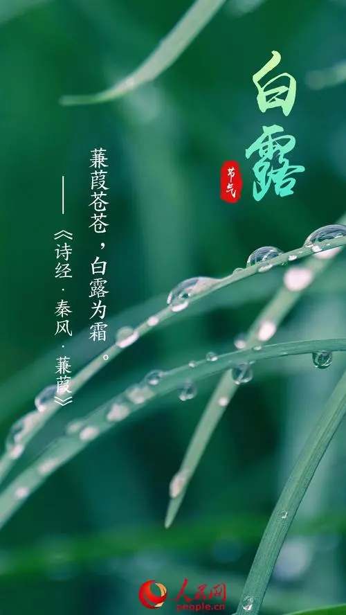 健康是福的《白露寄怀》