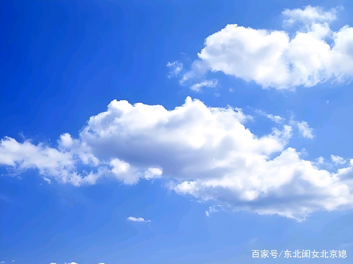 欣赏郑金波老师自由体诗·《闲吟金秋》（图3）