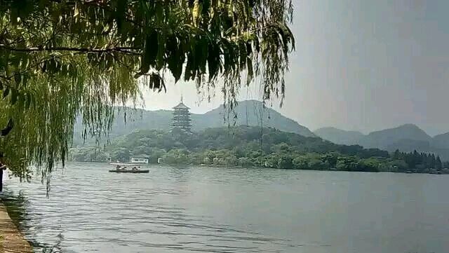 月夜忆杭州 原作/梁立锋（图3）
