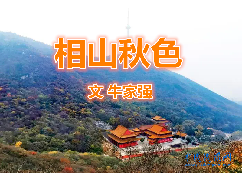 u=1891874200,2513511920&fm=253&fmt=auto&app=138&f=JPEG.webp.png