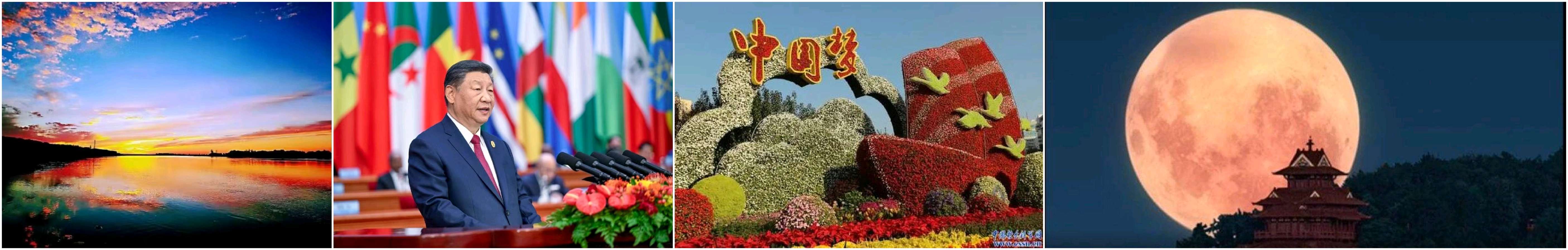 【经典推荐】鲁坡//老戎更喜晚霞图[笃信明宵梦会圆]（图5）