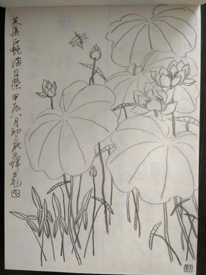 【都市头条向幸福出发编辑部】第12446期 申志辉先生作品 95（图2）