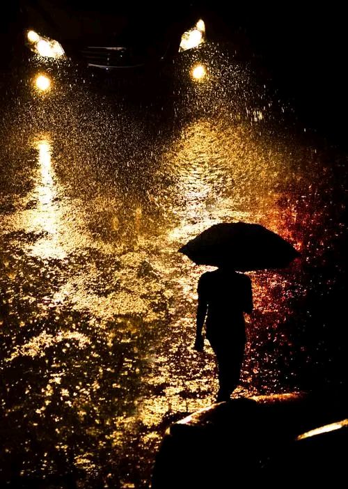 《秋夜听雨》作者:王明雪（雪歌）主播:知语【桃源国际诗歌文化传媒】用声音传递温暖以诵读致敬人生（图6）