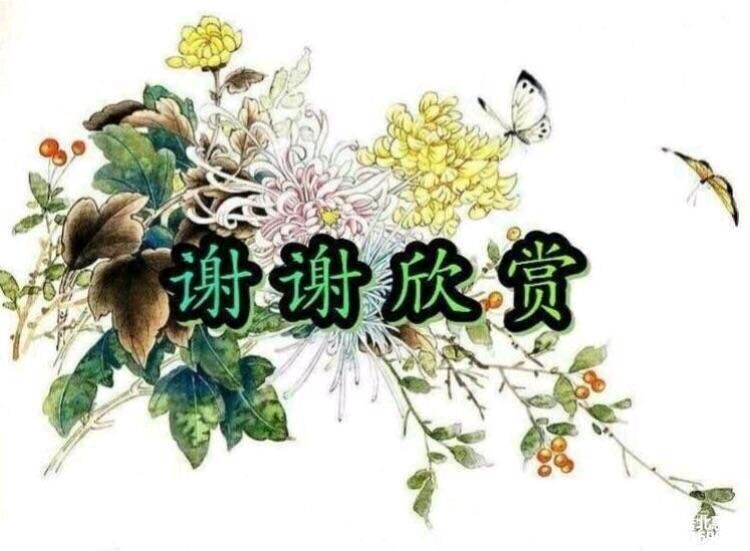 中华诗艺社江西分社【格律诗词精品鉴赏】都市头条•周刊(第1640期)(图33)