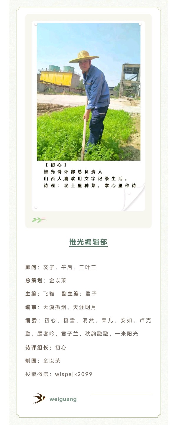 【惟光】微组精品：《石头记》《你的样子》《旧栅栏》（图6）