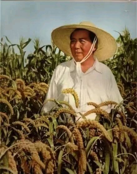 【重磅推出】鲁坡//九九怀恩念伟公[真善植于心恩泽施于人]（图3）