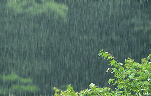 《雨雨双龙河》一一作者:陸海/朗诵:灵云（图3）