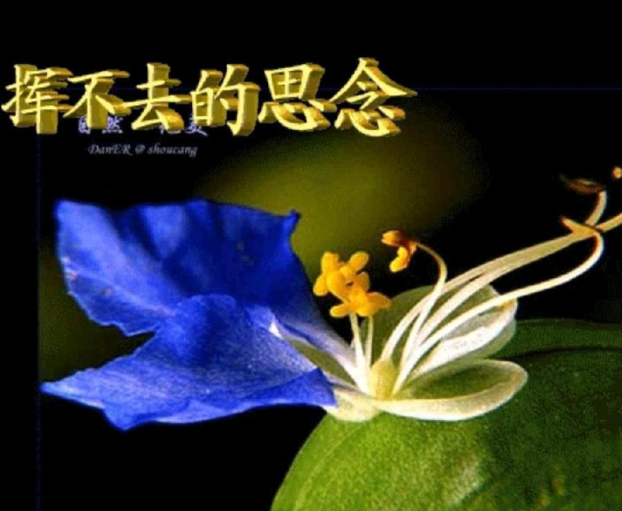 《雨雨双龙河》一一作者:陸海/朗诵:灵云（图4）