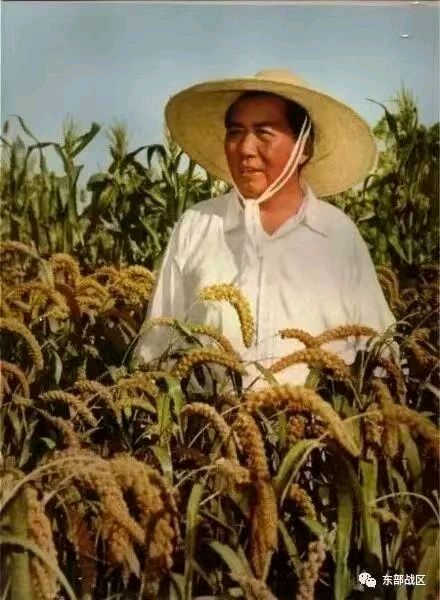 《许峰诗歌研究院》《纪念伟大领袖毛主席逝世四十八周年》【总第204期】（图11）