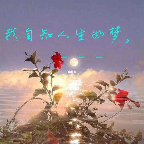 【重磅推出】“农民诗人”曹南强//人生若梦[秋韵抒怀系列作品展十八首]（图3）