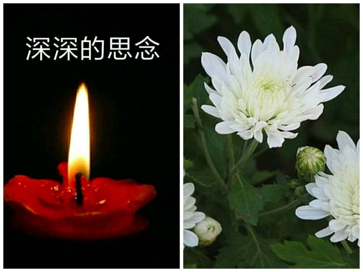 【重磅推出】“农民诗人”曹南强//人生若梦[秋韵抒怀系列作品展十八首]（图10）