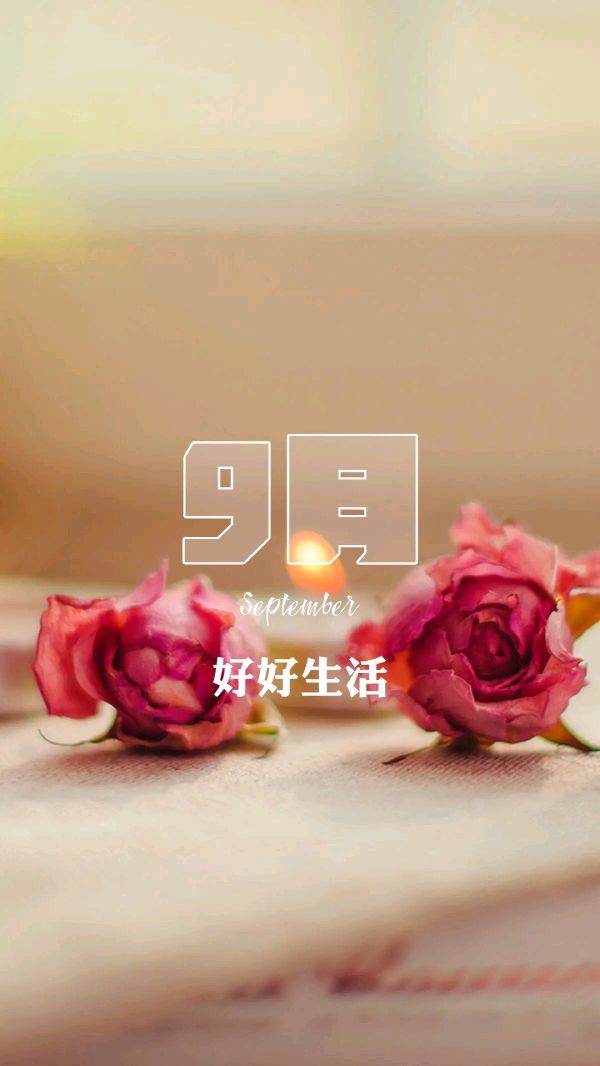 【上海文学社】诗歌三人行268 期