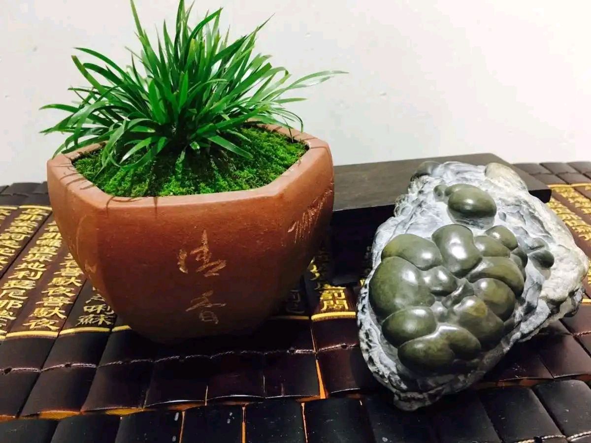 【上海文学社】短诗精选 120 期