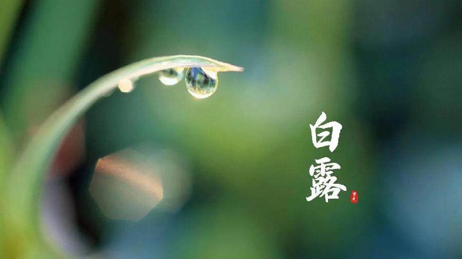 【国风燕赵诗社】第16期综合期刊与您共享！（图17）