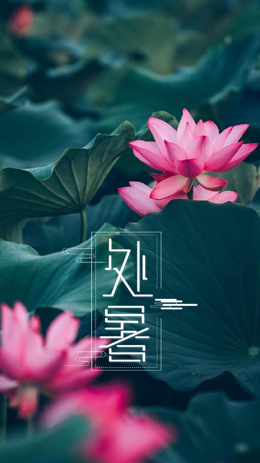 【国风燕赵诗社】第16期综合期刊与您共享！（图18）