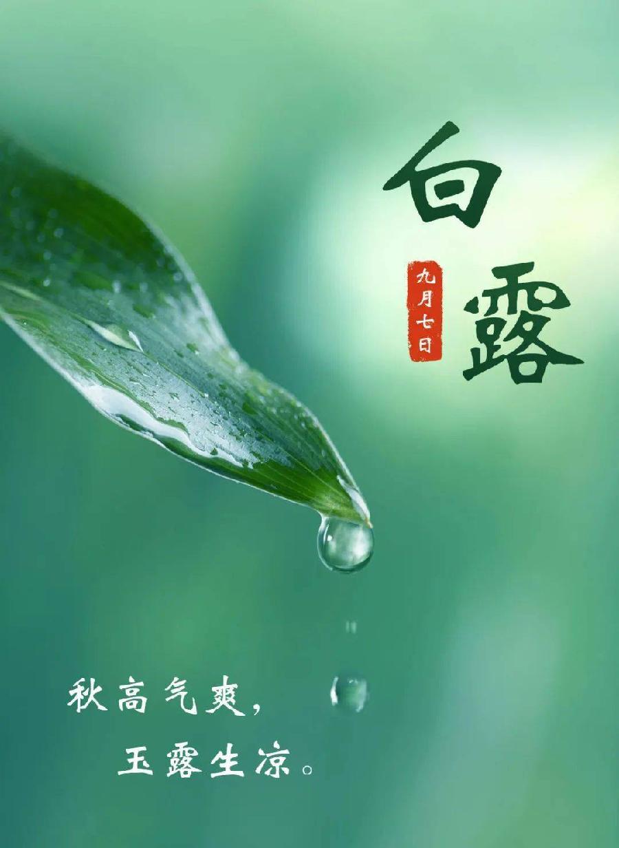 【国风燕赵诗社】第16期综合期刊与您共享！（图25）
